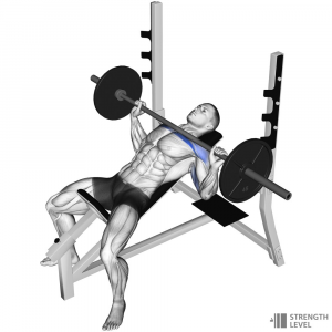 Incline Bench Press — Gym exercises option 36