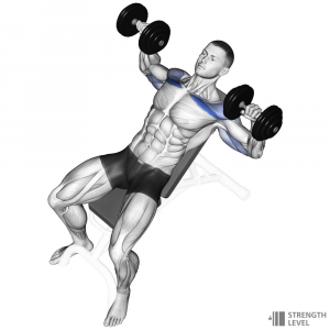 Incline Dumbbell Bench Press — Gym exercises option 37