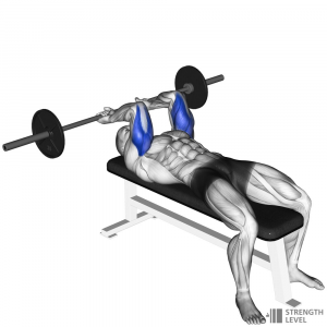 Lying Tricep Extension — Gym exercises option 42