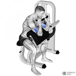 Machine Bicep Curl — Gym exercises option 43