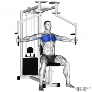 Machine Chest Fly — Gym exercises option 45