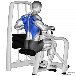Machine Row — Gym exercises option 46