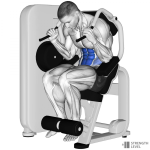 Machine Seated Crunch — Gym exercises option 47