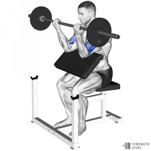 Preacher Curl — Gym exercises option 48