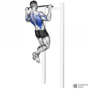Pull Ups — Gym exercises option 49