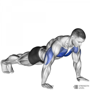 Push Ups — Gym exercises option 50