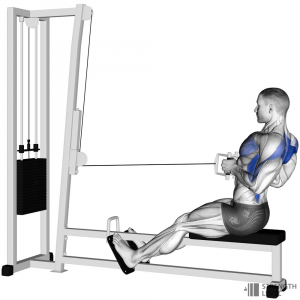 Seated Cable Row — Gym exercises option 53
