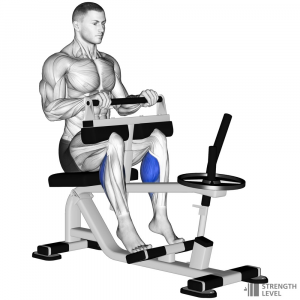 Seated Calf Raise — Gym exercises option 54