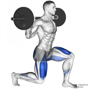 Split Squat — Gym exercises option 58