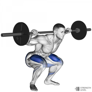 Squat — Gym exercises option 59