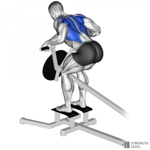 T Bar Row — Gym exercises option 60