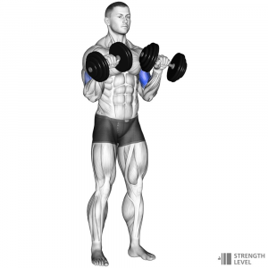 Zottman Curl — Gym exercises option 64