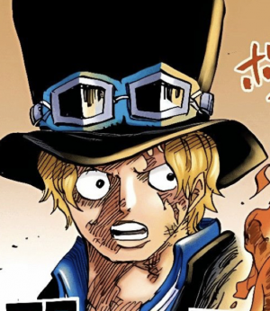 Zzzzz 1661673083962ed79c 8d07 483e B8f9 6533f86af66fjpeg — Two’s media character option 339