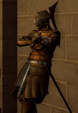Darkmoonknightessjpg — Soulsborne Firekeeper/Levelup or Upgrade Lady Tierlist option 3