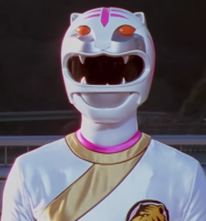 Zzzzz 1684524883161png — All Super Sentai Heroes (350+ characters) option 161