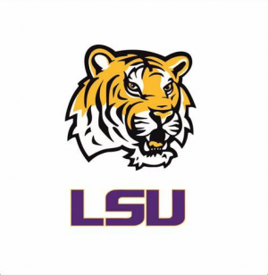 Lsujpg — NCAA Football Rankings option 54