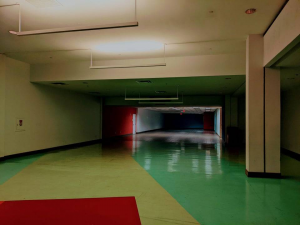 Room 18jpg — Liminal Spaces/Backrooms option 6
