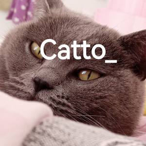 Cattoedit63895732929311png — TIER LIST FOR ALL ACTIVE MEMBERS IN THE 2.2 GDPS option 15