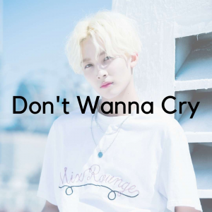 34jpg — SEVENTEEN Discography Tier List 2023 option 54