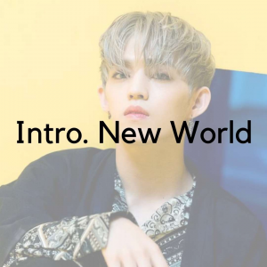 40jpg — SEVENTEEN Discography Tier List 2023 option 61