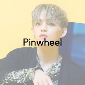 47jpg — SEVENTEEN Discography Tier List 2023 option 68