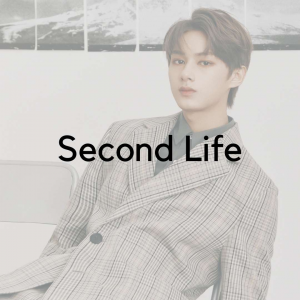 78jpg — SEVENTEEN Discography Tier List 2023 option 102