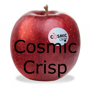 Image 2png — Apples Tier List option 4
