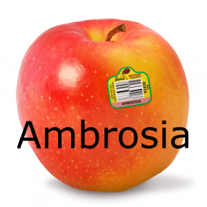 Image 3png — Apples Tier List option 6