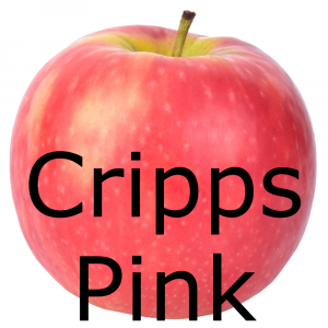 Image 4png — Apples Tier List option 8