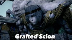 1a76d41d C986 4f4b 84cc 6554b4876314jpeg — Elden Ring bosses tier list option 7