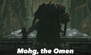 5955b758 B354 4cb3 8ce8 5b004139d0f7jpeg — Elden Ring bosses tier list option 25