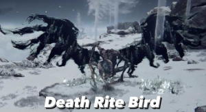 7968fb19 4f39 431a A202 6900958ff217jpeg — Elden Ring bosses tier list option 28