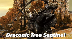 8ea61ebe Fa35 4408 9cf2 7f769b24b4adjpeg — Elden Ring bosses tier list option 31