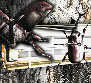 Besouro Imortalpng — Ranks dos Inimigos do RESIDENT EVIL 4 option 3