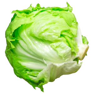 Eisbergsalatpng — Gemüse Ranking option 7