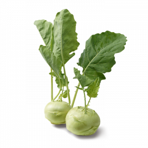 Kohlrabipng — Gemüse Ranking option 17