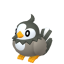128px Pokmonsprite396homepng — Normal-Type Pokémon (Gen 1-9) option 76