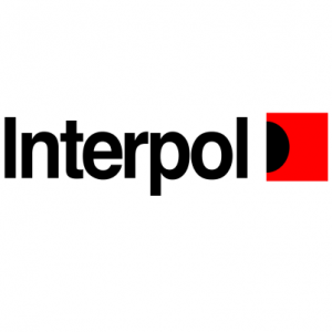 Interpng — Bandas de Metal/Rock/PoP option 84