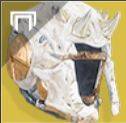 Skull Of Direjpg — Destiny 2 Warlock Exotics (S18) option 27