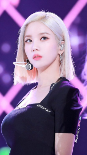 아이돌 최애 티어 정하기 ¡ — option 37
