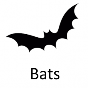 Batspng — Phobia and Fears List option 6