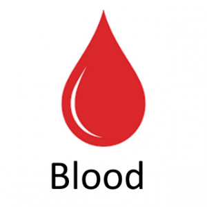 Bloodpng — Phobia and Fears List option 11