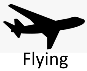 Flyingjpg — Phobia and Fears List option 41