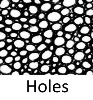 Holesjfif — Phobia and Fears List option 47