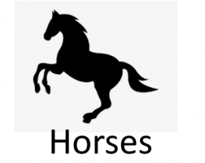 Horsespng — Phobia and Fears List option 48
