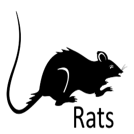Ratspng — Phobia and Fears List option 75