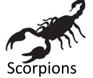 Scoprionsjfif — Phobia and Fears List option 77