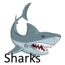 Sharksjfif — Phobia and Fears List option 78