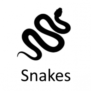 Snakespng — Phobia and Fears List option 79