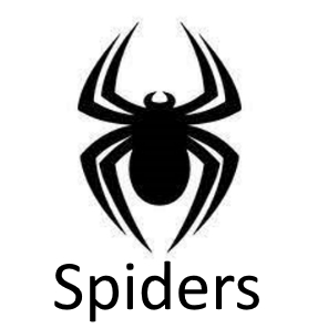 Spidersjfif — Phobia and Fears List option 82